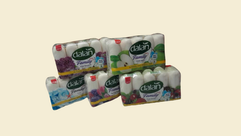 5 Pack Family Antibacterial Soap | Active, Cool & Fresh Protection | 115g