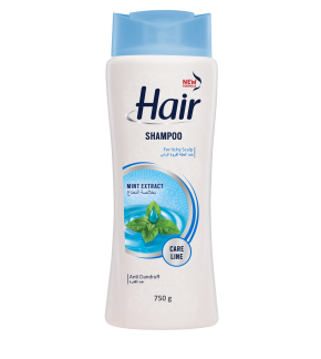 Hair Shampoo 725g (Pack of 12) | Natural Extracts | Bio Protein, Argan Oil, Honey & More for All Hair Types Mint Extract